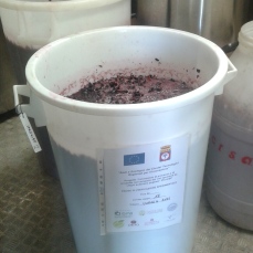 Fermentazione del vino base